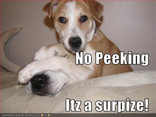 No Peeking Itz a surpize!