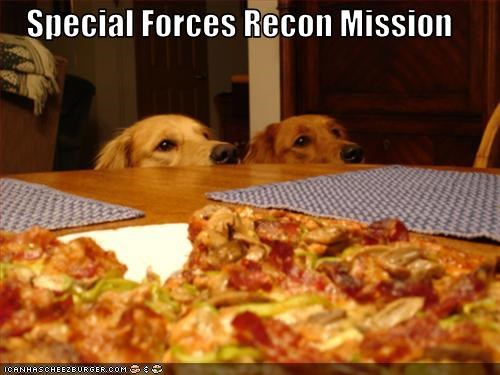 Special Forces Recon Mission