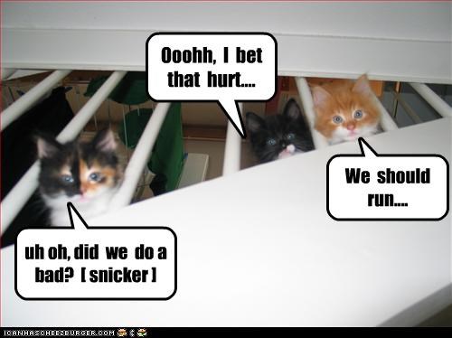 uh oh, did  we  do a  bad?  [ snicker ]