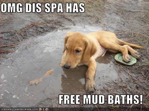 OMG DIS SPA HAS  FREE MUD BATHS!