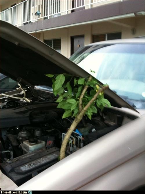 Starting a new leaf in hood support