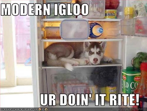 MODERN IGLOO  UR DOIN' IT RITE!