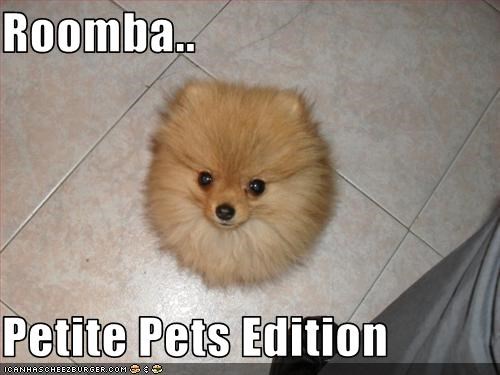 Roomba..  Petite Pets Edition