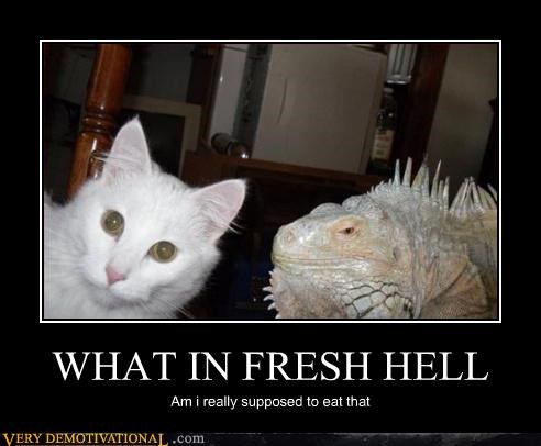 Is the Lizard or the Cat Thinking This?