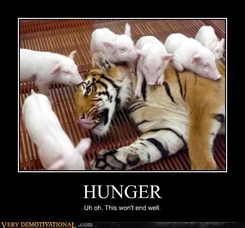 One Hungry Tiger