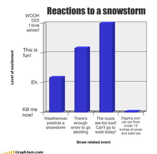 Reactions to a snowstorm