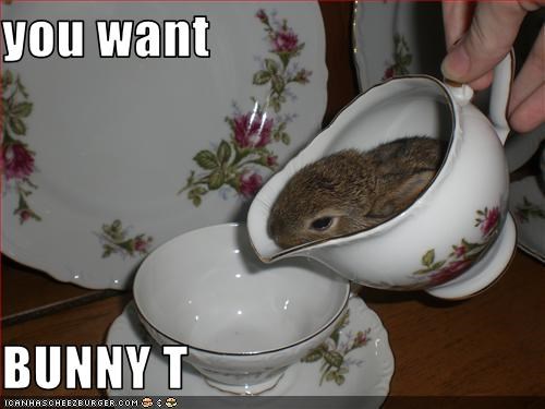 you want   BUNNY T