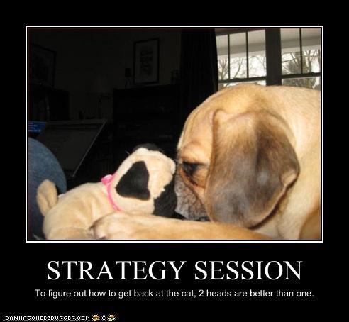 STRATEGY SESSION