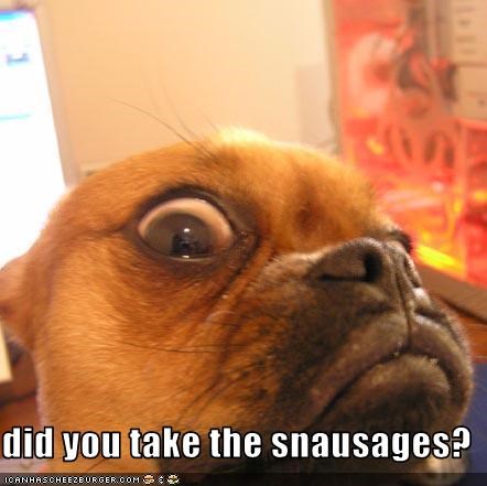 did you take the snausages?