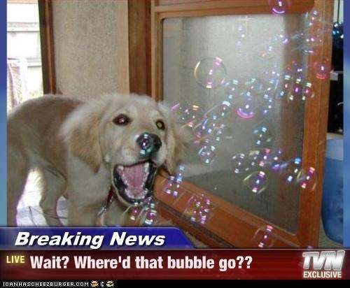 Breaking News - Wait? Where'd that bubble go??