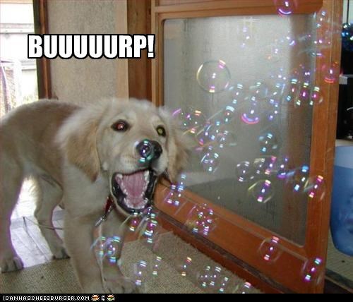 BUUUUURP!
