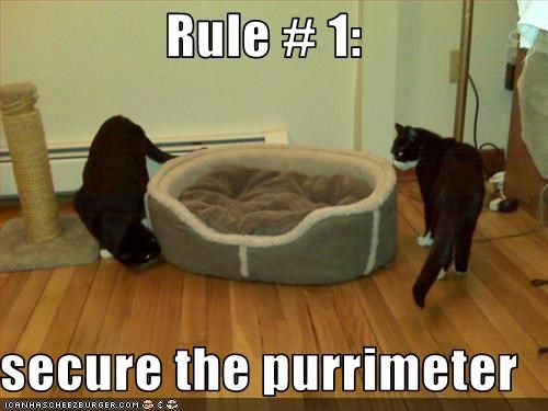 Rule # 1:  secure the purrimeter