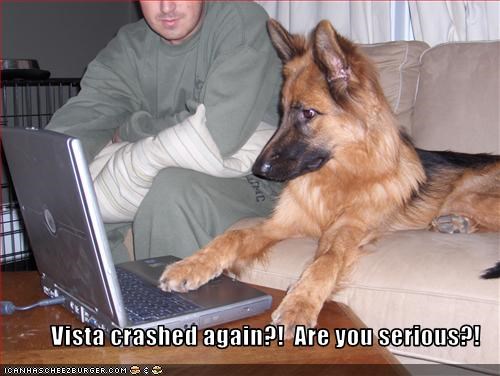 Vista crashed again?!  Are you serious?!