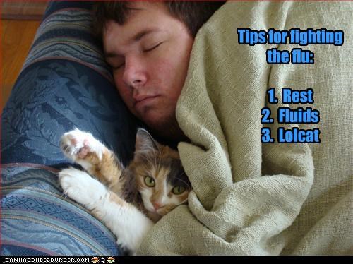 Tips for fighting the flu:  1.  Rest 2.  Fluids 3.  Lolcat