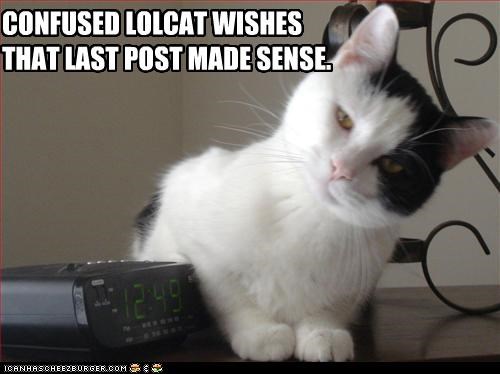 CONFUSED LOLCAT WISHES THAT LAST POST MADE SENSE.