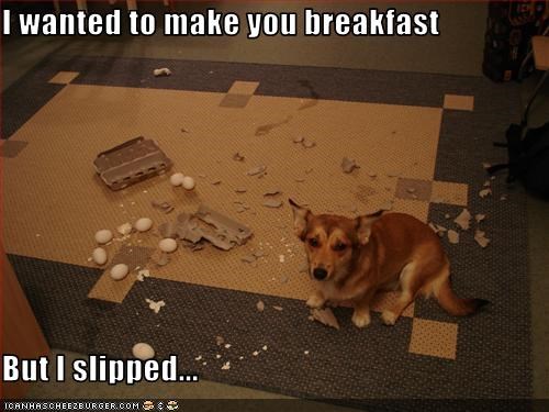 I wanted to make you breakfast  But I slipped...