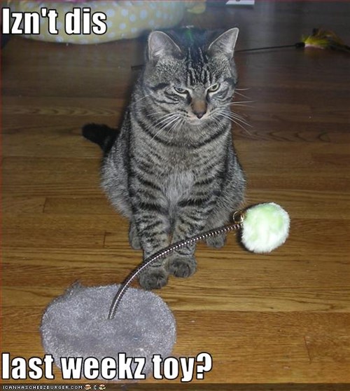 Izn't dis   last weekz toy?