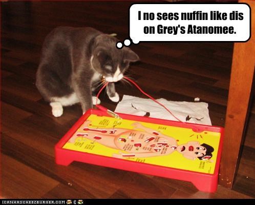 I no sees nuffin like dis on Grey's Atanomee.