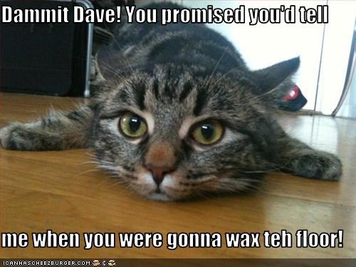 Dammit Dave! You promised you'd tell  me when you were gonna wax teh floor!