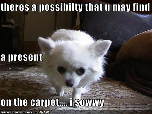 theres a possibilty that u may find a present on the carpet.... i sowwy