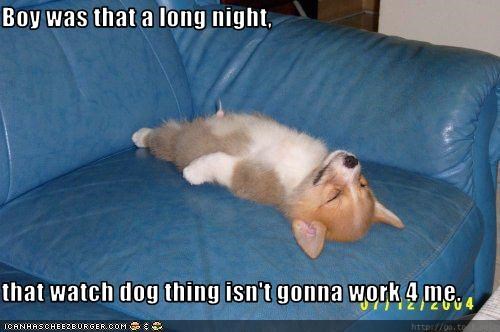 Boy was that a long night,  that watch dog thing isn't gonna work 4 me.