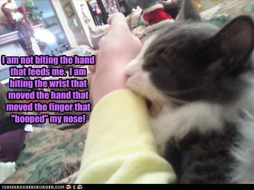 I am not biting the hand that feeds me.  I am biting the wrist that moved the hand that moved the finger that "booped" my nose!