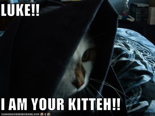 LUKE!!  I AM YOUR KITTEH!!