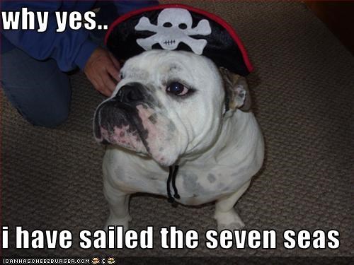 why yes..  i have sailed the seven seas