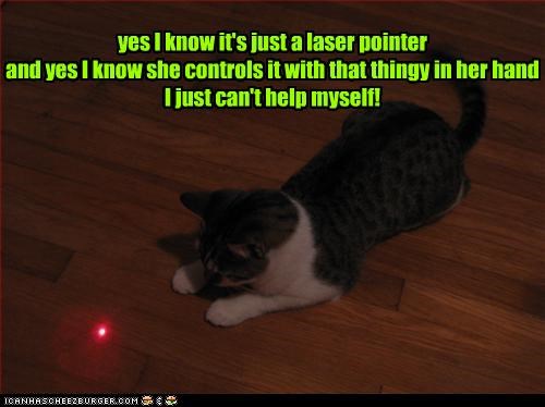 yes I know it's just a laser pointer and yes I know she controls it with that thingy in her hand I just can't help myself!