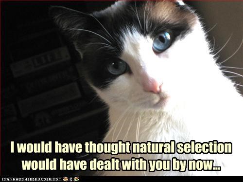 I would have thought natural selection would have dealt with you by now...