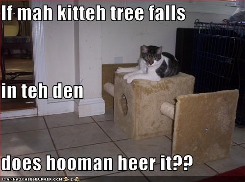 If mah kitteh tree falls  in teh den does hooman heer it??