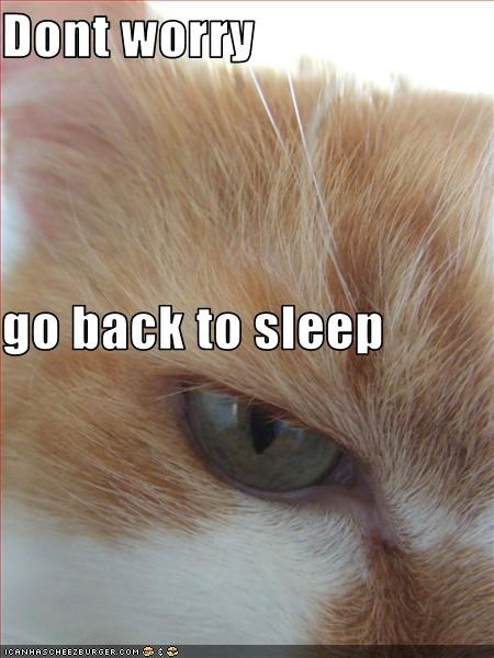 Dont worry go back to sleep