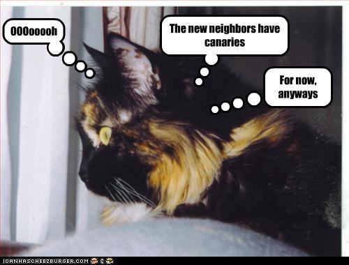 The new neighbors have canaries