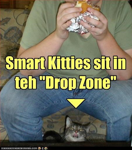 Smart Kitties sit in teh "Drop Zone"