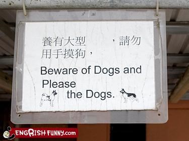 Beware of Dogs