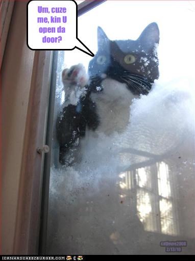 Knock, knock...