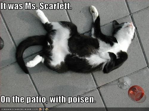 It was Ms. Scarlett.  On the patio, with poisen.