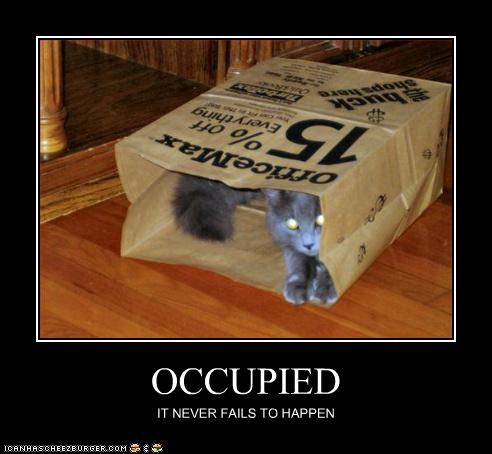OCCUPIED