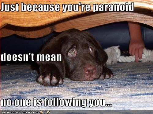 Just because you're paranoid doesn't mean no one is following you...