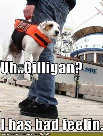 Uh..Gilligan? I has bad feelin...