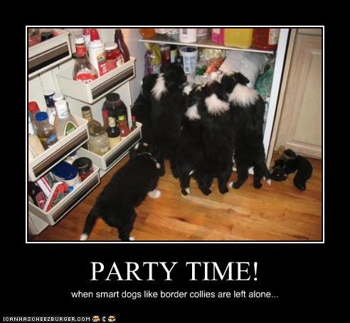 PARTY TIME!