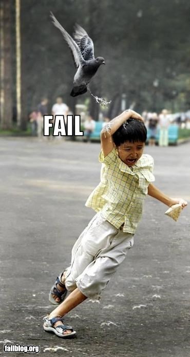 Kid fail or bird win?