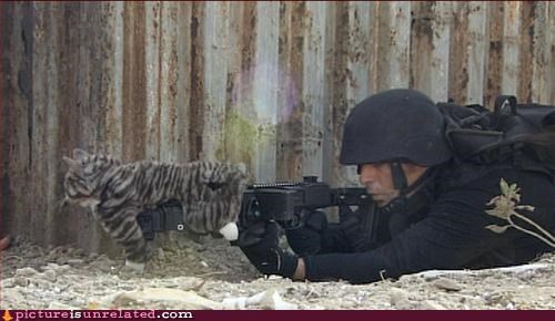 I can haz gunz?