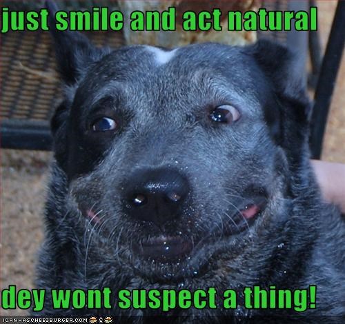 just smile and act natural  dey wont suspect a thing!