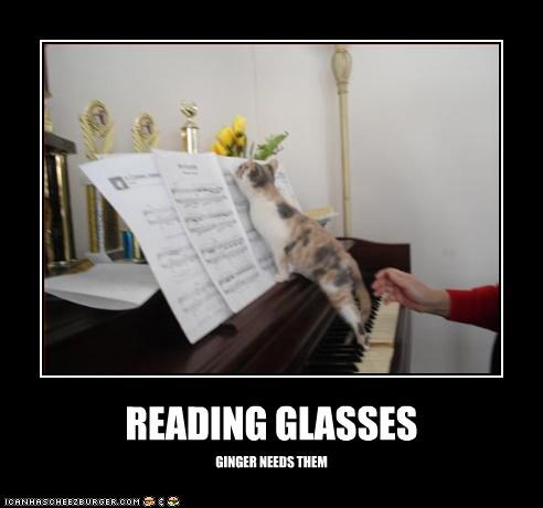 READING GLASSES