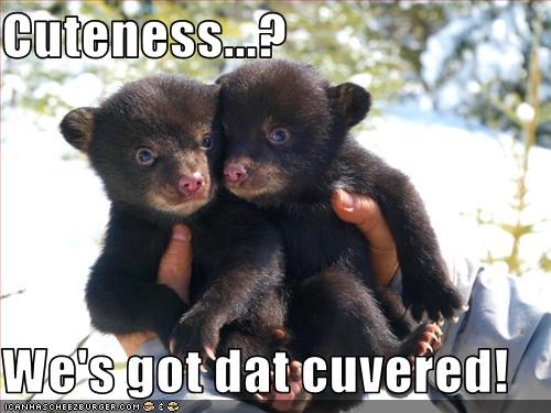 Cuteness...?  We's got dat cuvered!