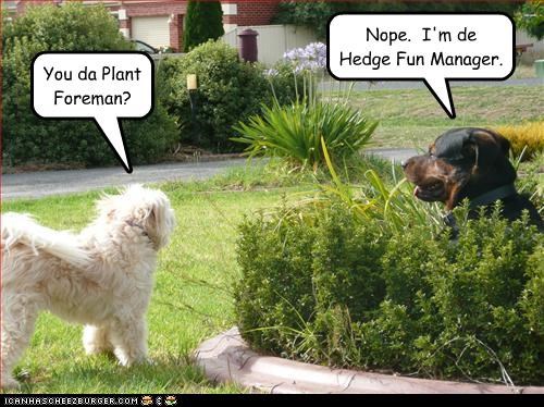 You da Plant Foreman?