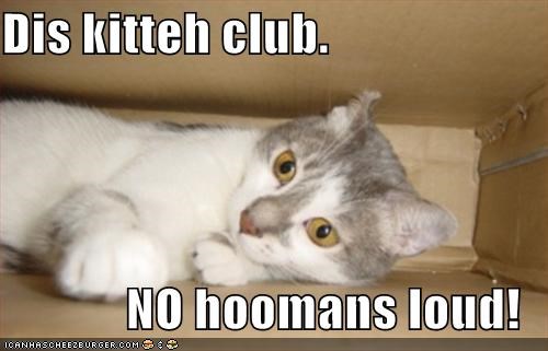 Dis kitteh club.  NO hoomans loud!
