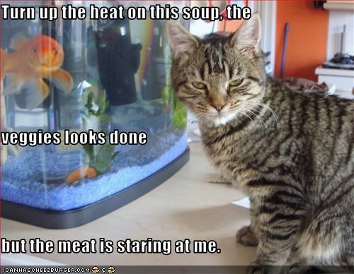 Turn up the heat on this soup, the  veggies looks done  but the meat is staring at me.