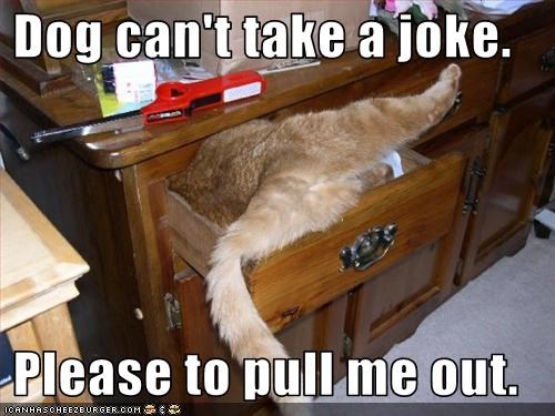 Dog can't take a joke.   Please to pull me out.